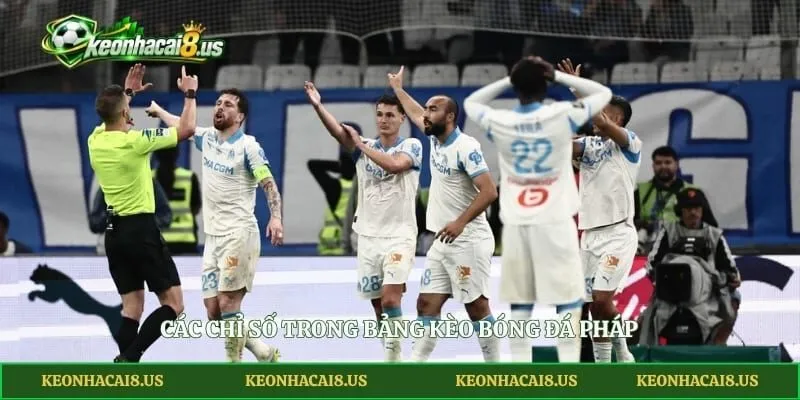 Các chỉ số trong bảng kèo bóng đá Pháp