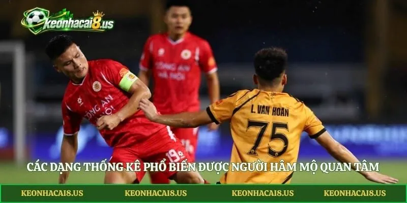 Các dạng thống kê phổ biến được người hâm mộ quan tâm