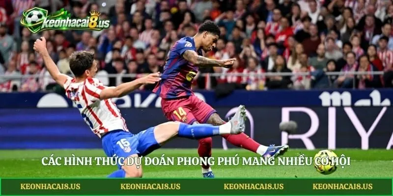 Các hình thức dự đoán phong phú mang nhiều cơ hội