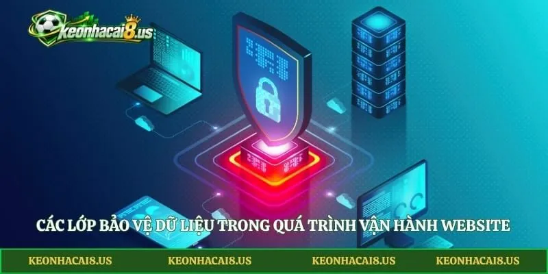Các lớp bảo vệ dữ liệu trong quá trình vận hành website