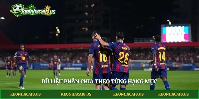 Dữ liệu phân chia theo từng hạng mục