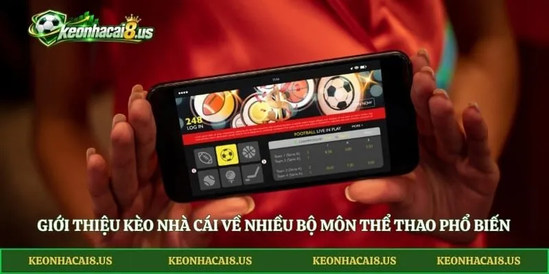 Giới thiệu kèo nhà cái về nhiều bộ môn thể thao phổ biến