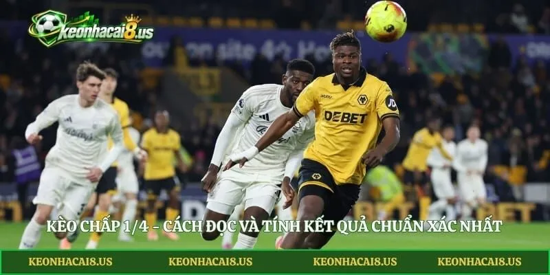 Kèo Chấp 1/4 - Cách Đọc Và Tính Kết Quả Chuẩn Xác Nhất