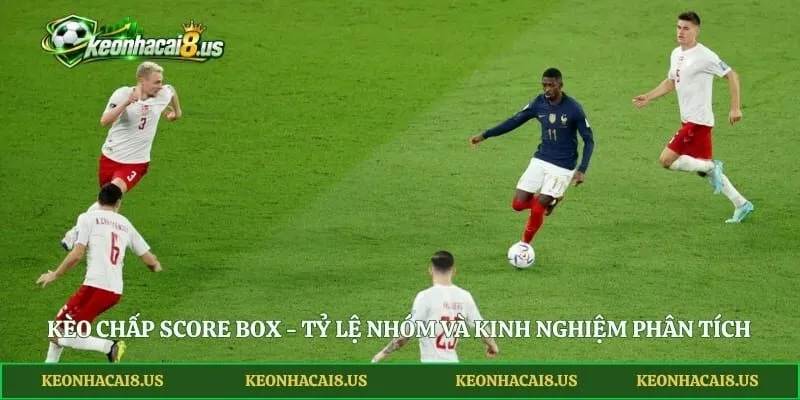 Kèo Chấp Score Box - Tỷ Lệ Nhóm Và Kinh Nghiệm Phân Tích