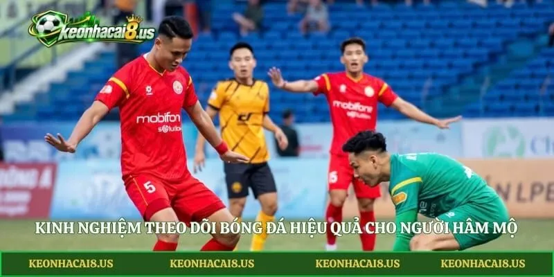 Kinh nghiệm theo dõi bóng đá hiệu quả cho người hâm mộ