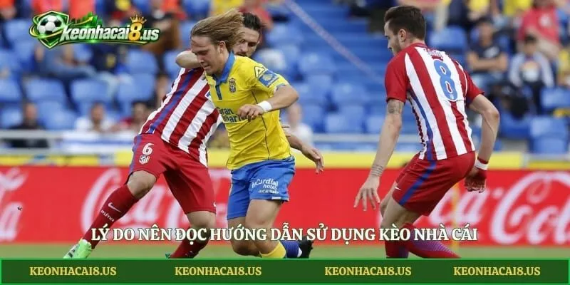 Lý do nên đọc hướng dẫn sử dụng Kèo Nhà Cái