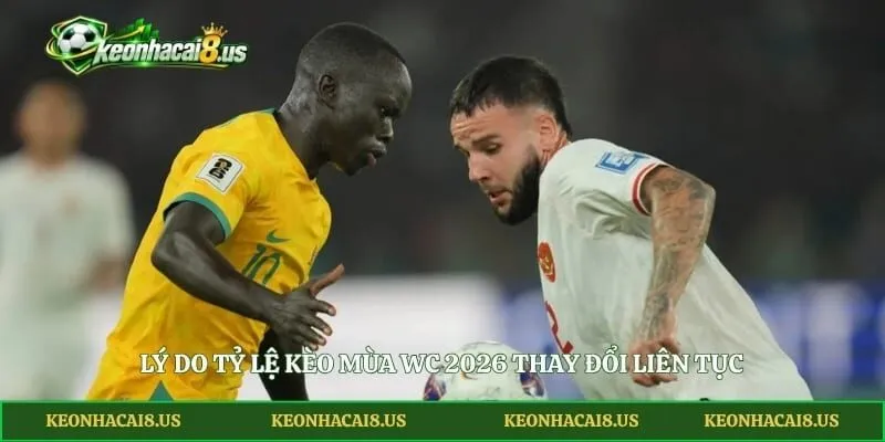 Lý do tỷ lệ kèo mùa WC 2026 thay đổi liên tục