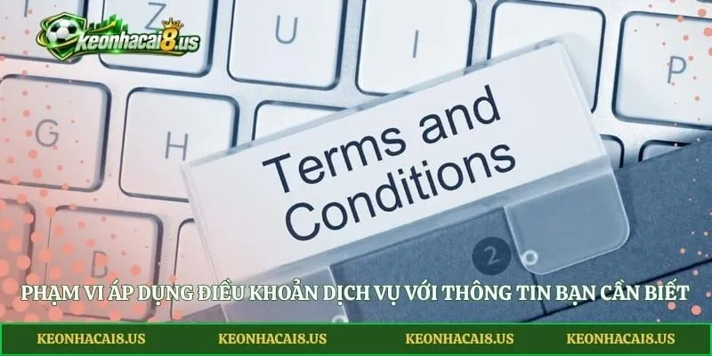 Phạm vi áp dụng điều khoản dịch vụ với thông tin bạn cần biết