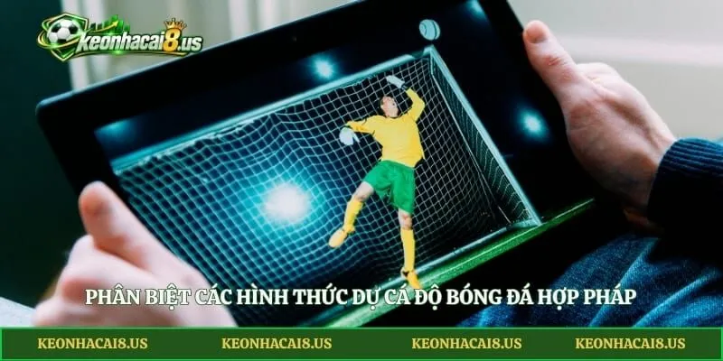 Phân biệt các hình thức dự cá độ bóng đá hợp pháp