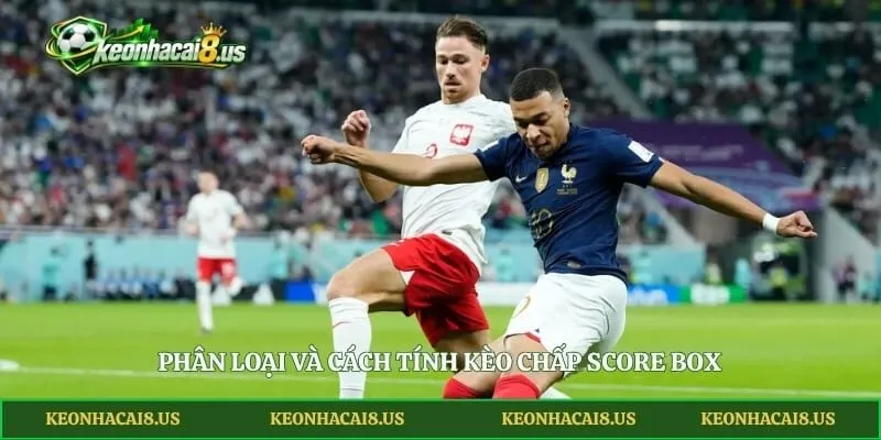 Phân loại và cách tính kèo chấp Score Box