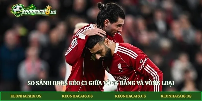 So sánh odds kèo C1 giữa vòng bảng và vòng loại 