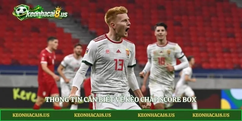 Thông tin cần biết về kèo chấp Score Box