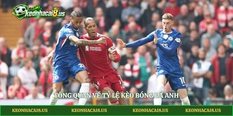 Tổng quan về tỷ lệ kèo bóng đá Anh