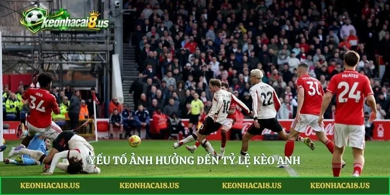 Yếu tố ảnh hưởng đến tỷ lệ kèo Anh