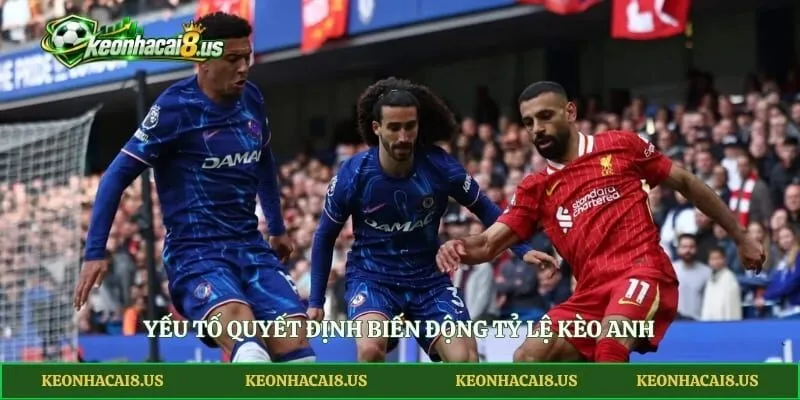 Yếu tố quyết định biến động tỷ lệ kèo Anh